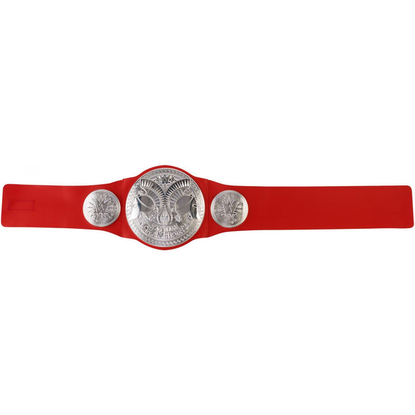  Raw Tag Team Championship Title Belt with Authentic Details